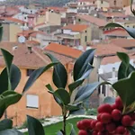 Le Rose Di Santina
