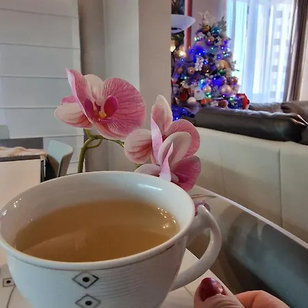 Le Rose Di Santina 马莫亚达