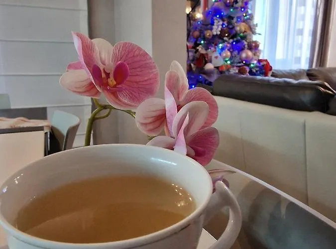 Le Rose Di Santina ממויאדה