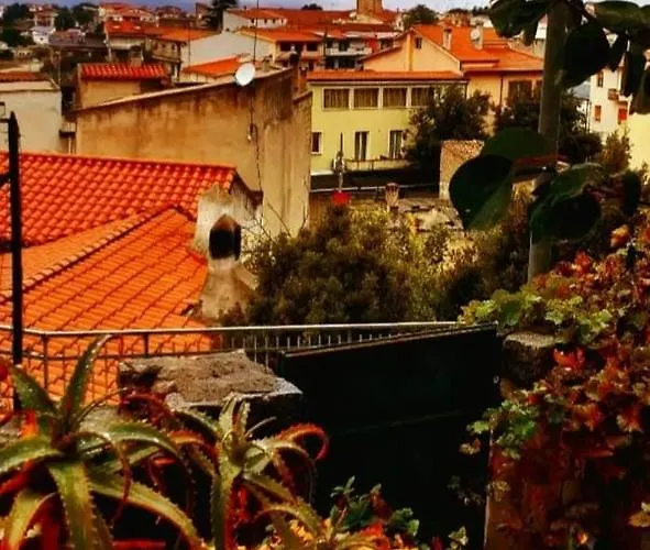 Le Rose Di Santina * ממויאדה