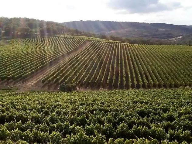 Le Rose Di Santina בית הארחה